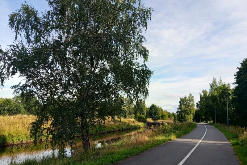 Indeks Zdrowych Miast. Gdzie żyje się najlepiej?